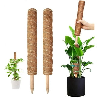 【新品未使用】MOSS STICK SW50 24-25 Triani 63-Inch Moss Poles (4 Pack) - Plant Stakes for Indoor