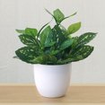 thumbnail image 5 of fastboy Artificial Potted Plant Leaf Simulation Leaves Home Office Desktop Greenery Decoration, Plant Type 12, 5 of 5