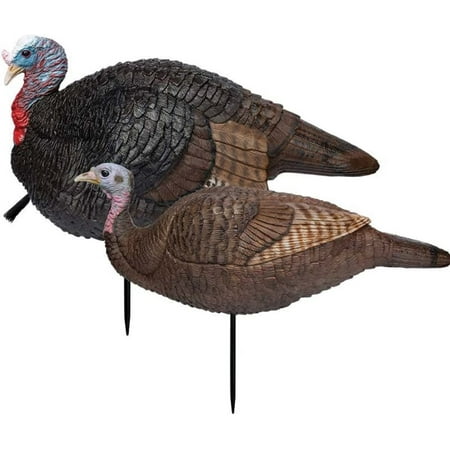 Primos Hunting Lil Gobstopper Hen and Jake Combo Decoy Light-Weight Collapsible Hunting Decoy 69075