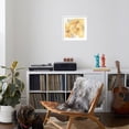thumbnail image 4 of Art.com Golden Clematis II Art Print by Chris Paschke, White Frame Wall Art, 21" x 21", 4 of 5