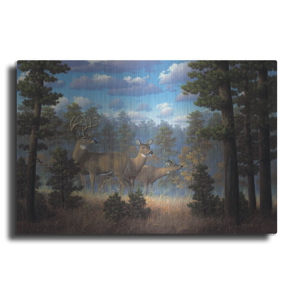 Luxe Metal Art 'White Tail Family' by R. Hed, Metal Wall Art, 16"x12"