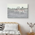 thumbnail image 1 of PixonSign Canvas Print Wall Art Two Deer Stand in Safari Field Animals Wildlife Photography Realism Contemporary Relax/Calm Multicolor Cool for Living Room, Bedroom, Office - 16"x24", 1 of 5