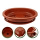 thumbnail image 1 of Luxshiny 1Jgo Maceta Oval Para Bonsái Hecha De Plástico Marrón Resistente Para Y Cultivo En Jardín, 1 of 6