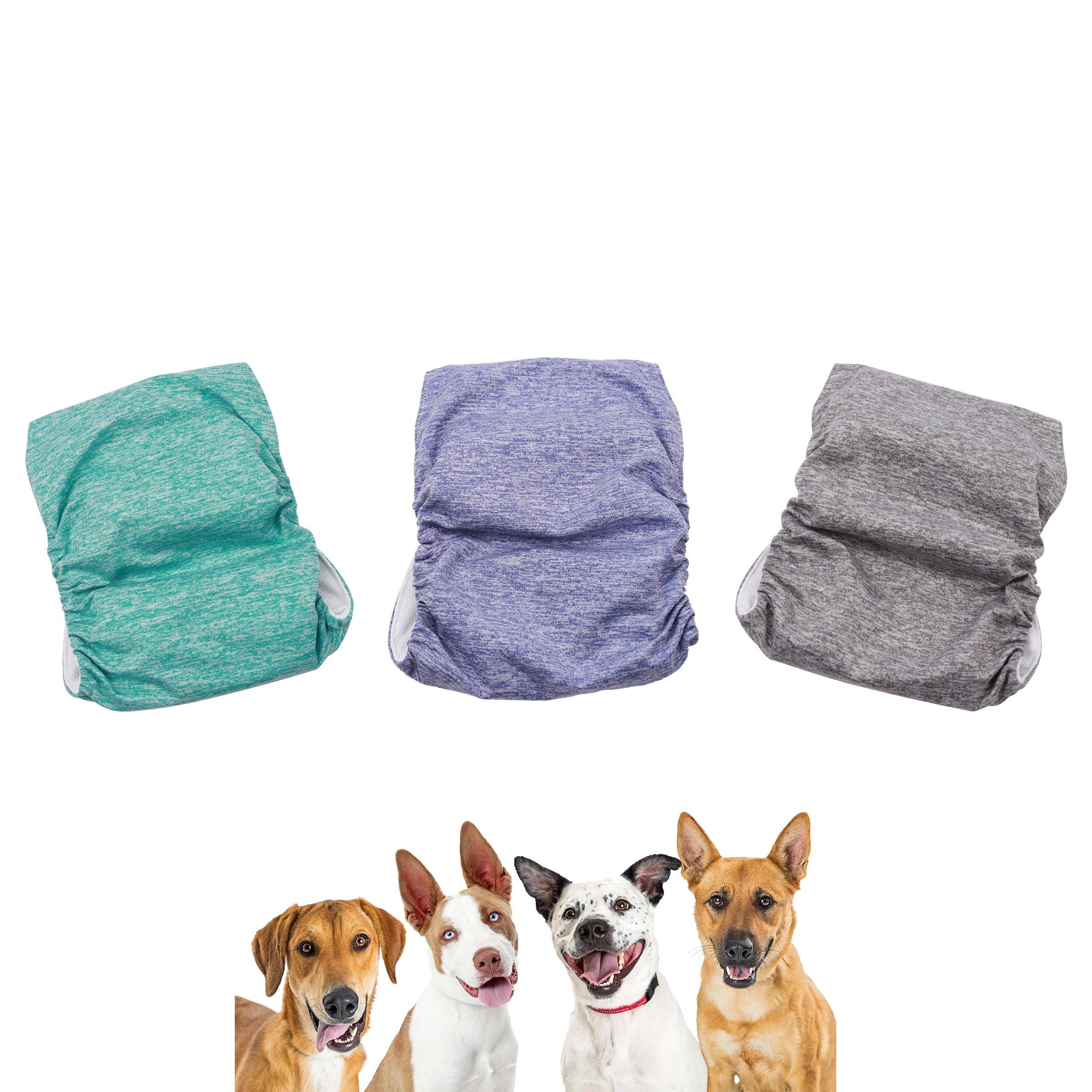 (2 pack) Vibrant Life Washable Dog Wraps for Male Dogs, M, 3 Count