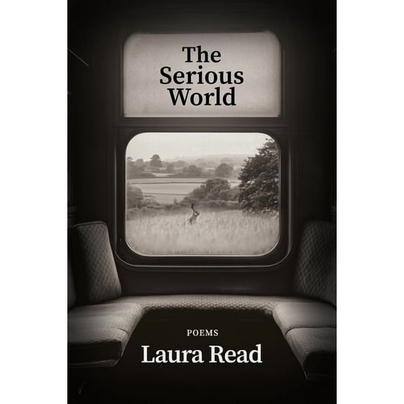 The Serious World, (Hardcover)