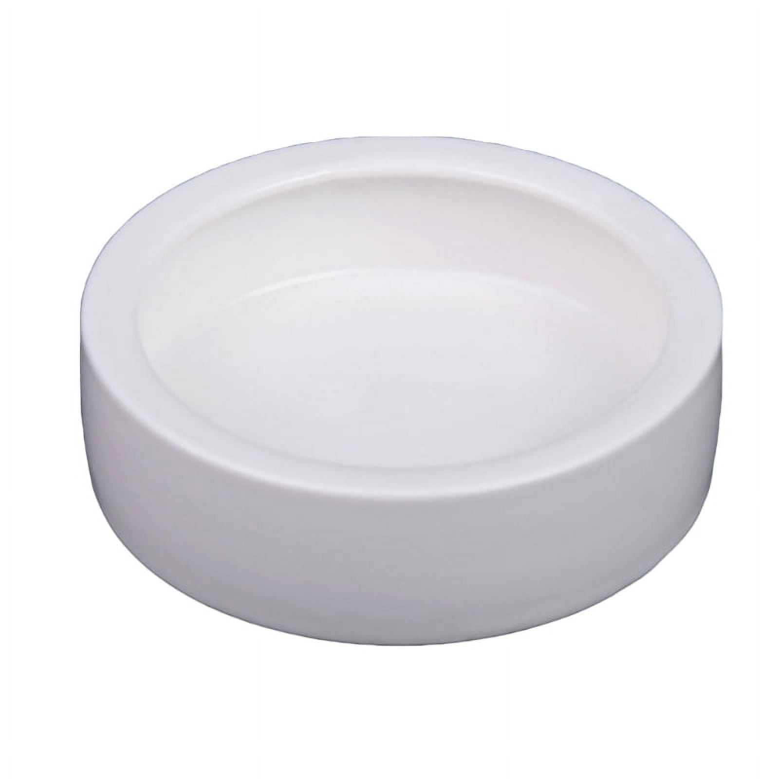 XISAOK Anti-Escape Reptile Feeding Dish Reptile Water Bowl for Hermit Crab Leopard