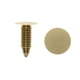 thumbnail image 1 of 20Pzas Remache de Arranque Empujar La Pinza Beige 8mm X 8mm Agujero Ajuste Auto Junta Agujero Ajuste Grapa Recortar, 1 of 1