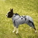 thumbnail image 4 of Sudadera con capucha LONTEPET, mono de 4 patas para perros pequeños, color gris, 4 of 5