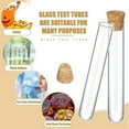 thumbnail image 4 of 100pcs Glass Test Tubes With Cork Clear Stoppers Round Bottom Lab Test Alcohol Tampons Tubes Contai, 4 of 5