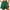 Green, variant on DDAPJ pyju Flowy Shorts for Women Elastic High Waist Casual Ruffle Skorts Running Tennis Butterfly Shorts Loose Comfy Summer Shorts Sales Today Clearance Black M