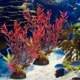 thumbnail image 3 of IFANLANDOR 2Pcs Artificial Aquatic Plants Bright Colors Fish Hiding Place 28X8Cm, 3 of 4