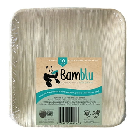100 PC, Bamblu Home Compostable Designer Tableware, 10 inch Square Classic Palm Leaf Plate, LSPF-10-CS