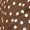 Coffee Brown, variant on Coffee Brown Polka Dot Wrap V-Neck Cap Sleeve Midi Dress For Women