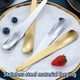thumbnail image 5 of Cuchara de postre Advancent Cuchara de helado de fondo plano Acero inoxidable mango largo, 5 of 6