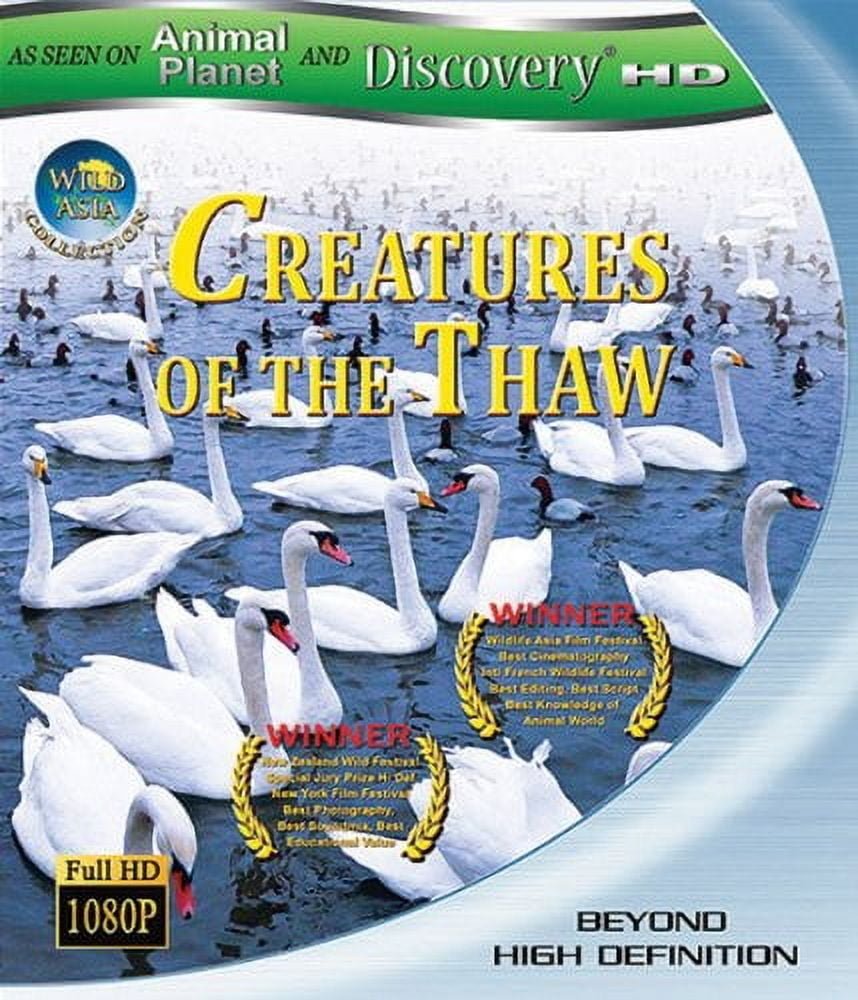 Nova: What Darwin Never Knew (Blu-ray) - Walmart.com