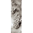 thumbnail image 2 of Blaustein, Alan 13x32 Black Ornate Wood Framed with Double Matting Museum Art Print Titled - Grapes Pano - 5, 2 of 4
