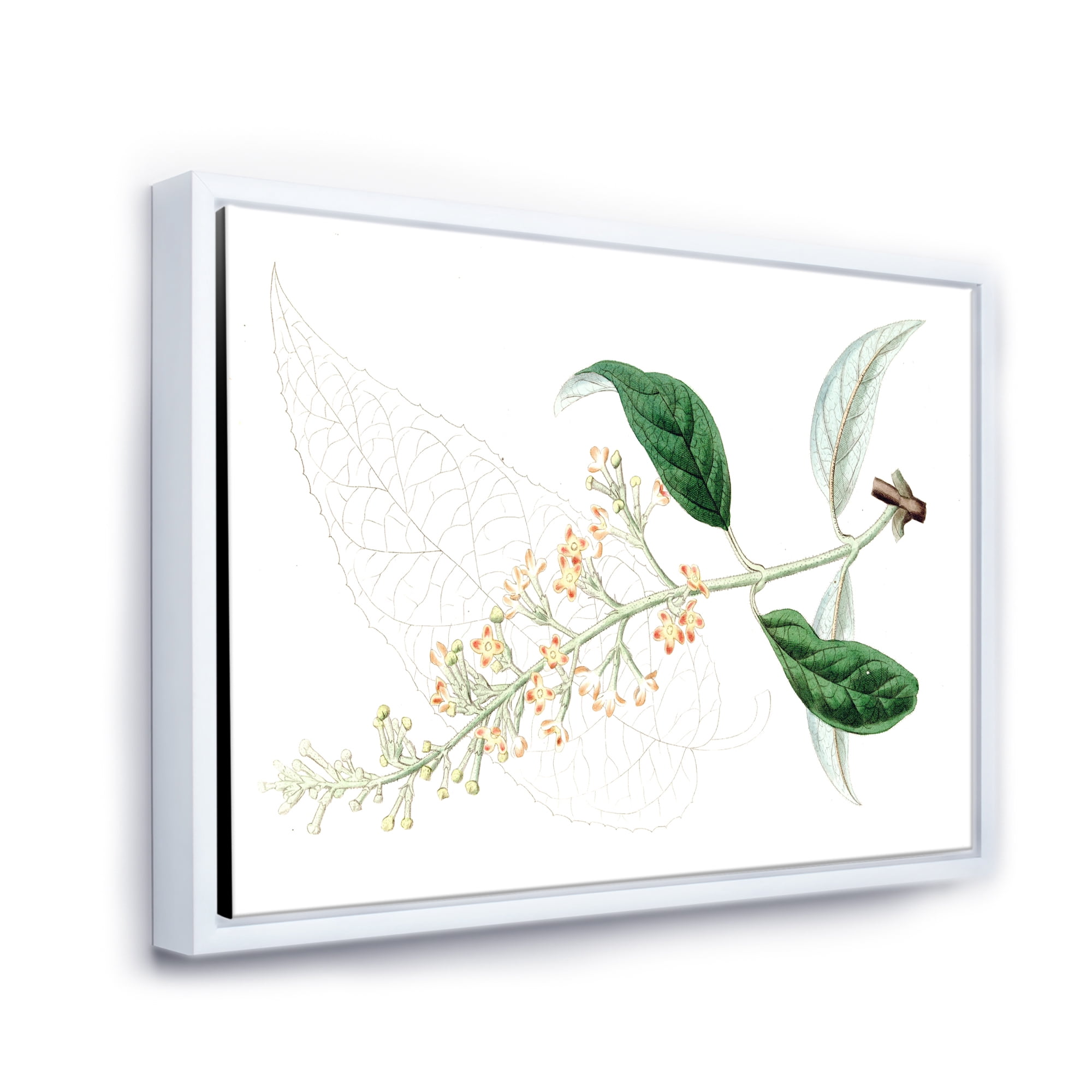 Designart 'Ancient Plant Life XXVII' Traditional Framed Canvas Wall Art Print