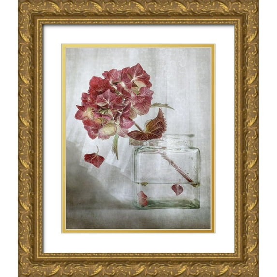 Disher, Mandy 26x32 Gold Ornate Wood Framed with Double Matting Museum Art Print Titled - Hydrangea