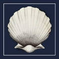 thumbnail image 2 of Tillmon, Avery 26x26 Black Ornate Wood Framed with Double Matting Museum Art Print Titled - Coastal Shell II with Border Navy, 2 of 4