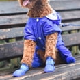 thumbnail image 4 of Puppy Dogs Candy Colors Anti-Slip Waterproof Rubber Rain Shoes Boots Paws Cover, 4 of 8
