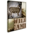 thumbnail image 2 of Trademark Fine Art "Wild Game" Canvas Art by Color Bakery, 2 of 3