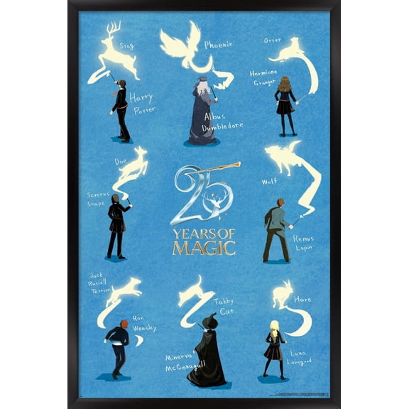 Harry Potter and the Sorcerer's Stone (2001) - 25 Years of Magic Wall Poster, 14.725" x 22.375" Framed