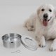 thumbnail image 4 of Nestingho Plato De Para Perro De Inoxidable Con Para Beber Lento, 4 of 6