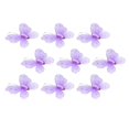 thumbnail image 1 of Fugacal Mesh Glitter , High Quality Apparel Accessories, For Cards Crafts, 1 of 5