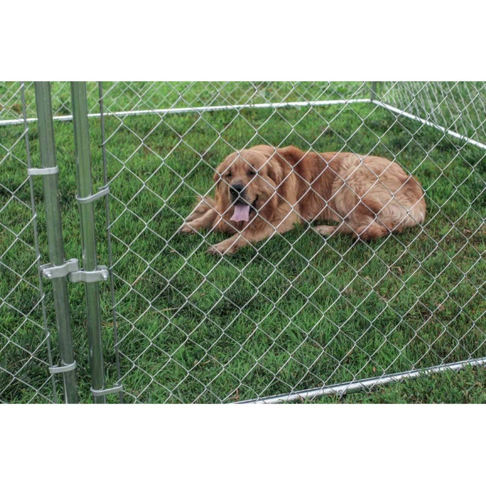 10x10x6 kennel