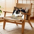 thumbnail image 6 of TanSiDing Cute Cat Pillowcase with Hidden Zipper, Soft Plush Pet Lover Throw Pillow Cover, Decorative Cushion Case for Bed Sofa Living Room Decor 17.72in, 6 of 6