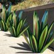 thumbnail image 5 of Escultura De Decoración Artística De Jardín De Plantas De Agave De Metal A Prueba De Agua, Escultura Rústica De Tequila A Prueba De Herrumbre Para Jardines, Patios, Estanques Serendint HA036226-00, 5 of 6