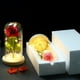thumbnail image 3 of Lámpara de simulación de rosa con cubierta de cristal de La Bella y la Bestia, lámpara LED con forma de rosa, decoración para el Día de la Madre, regalo para el Día de San Valentín., 3 of 6