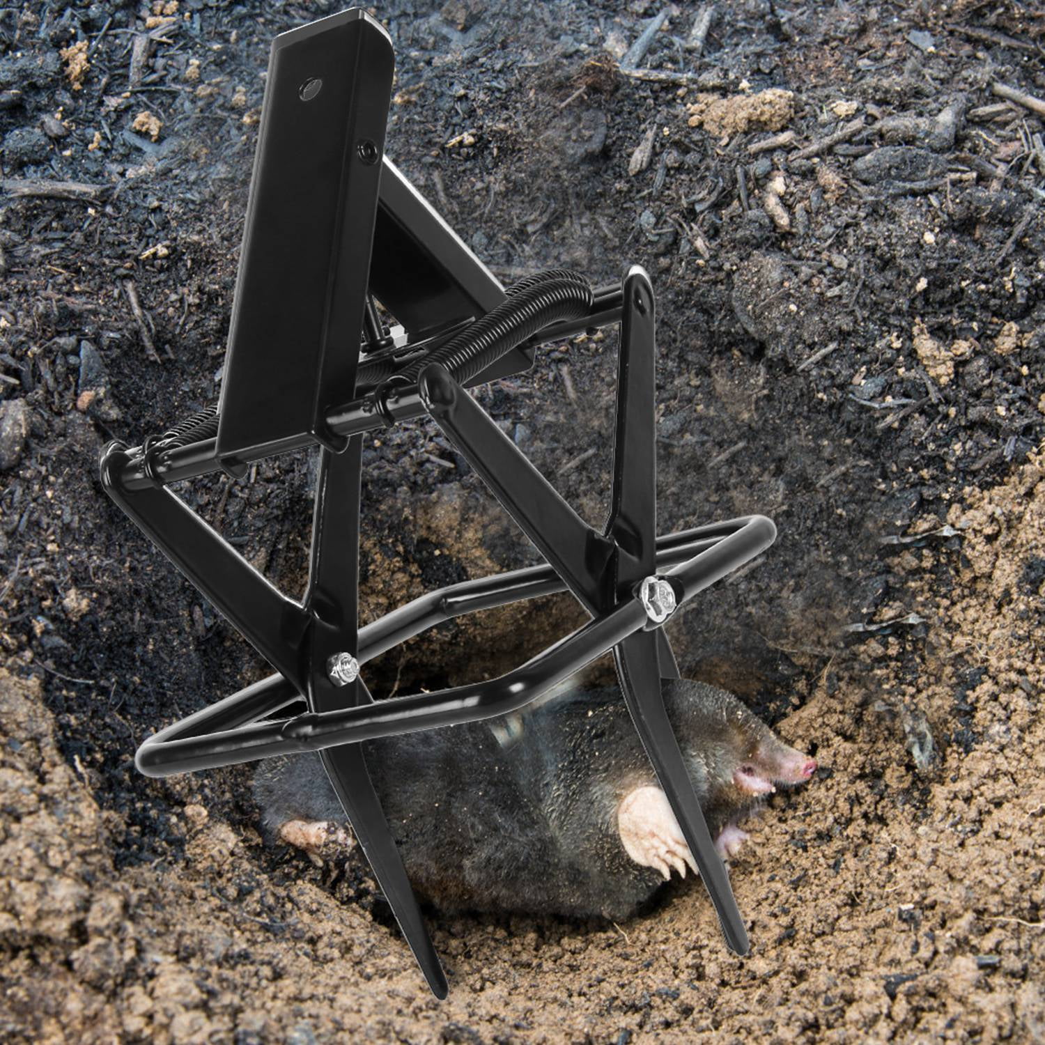 2 Pack Mole Traps Thickened Metal Mole Scissor Trap Reusable Mole Trap Mole Control Easy Set Ground Mole Trap for Lawns (Black）