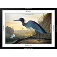 thumbnail image 3 of Audubon: Little Blue Heron, Animals Framed Art Print Wall Art by John James Audubon Sold by Art.Com, 3 of 6