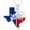 04-Longhorn Texas, variant on Map Necklace for Women 925 Sterling Silver Flag Necklaces Jamaica America Texas Africa Country Map Chain Jewelry Gifts