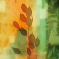 thumbnail image 2 of Donovan, Chris 15x15 White Modern Wood Framed Museum Art Print Titled - Natures Glow II, 2 of 4