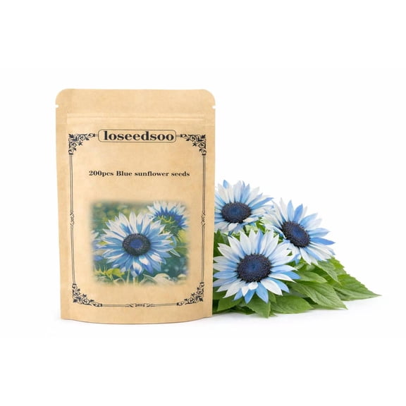 Blue Sunflower Seeds 200 for Planting – Rare Blue Sunflower Flower Seeds, Non-GMO Heirloom Garden Seeds for Outdoor Yard & Garden Growing, loseedsoo