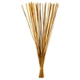 thumbnail image 1 of Vickerman H1ELR725 40-42 in. Aspen Gold Elephant Reed - 10 oz Bundle, 1 of 1