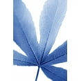 thumbnail image 2 of Schell, Jennie Marie 17x24 White Modern Wood Framed Museum Art Print Titled - Blue Leaves 2, 2 of 4
