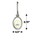 thumbnail image 4 of Rhode Island State Flag Antiqued Oval Charm Clothes Purse Suitcase Backpack Zipper Pull Aid, 4 of 4