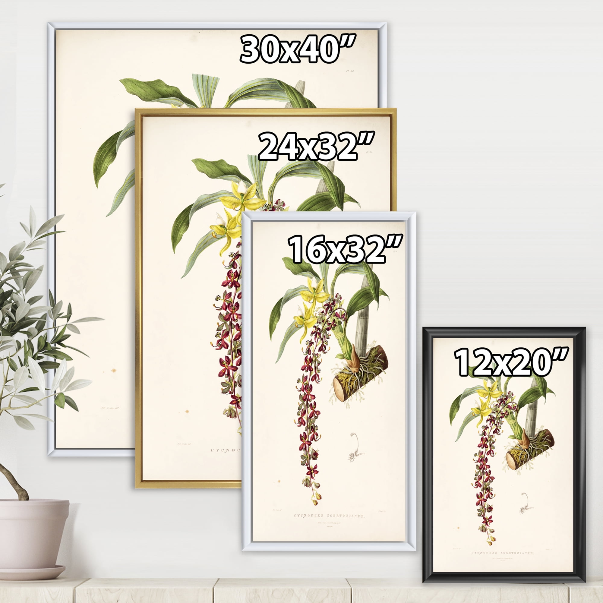 Designart 'Ancient Flower II' Traditional Framed Canvas Wall Art Print