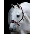 thumbnail image 3 of Rambo Padded Halter, Navy (Burgundy/Dusty Blue Trim), Size: Cob, 3 of 4