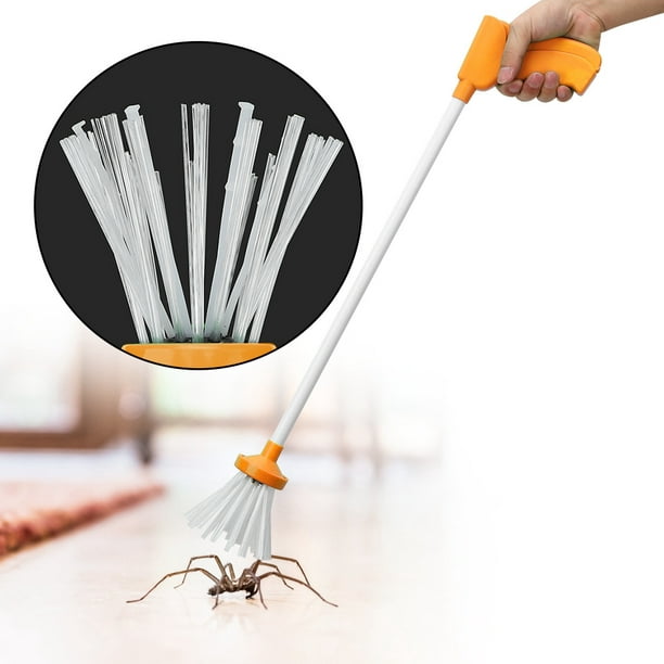 Attrape-araignée Portable LHCER outil de capture pour attrape-insectes  portable de jardin pratique, attrape-insectes de jardin, attrape-insectes 