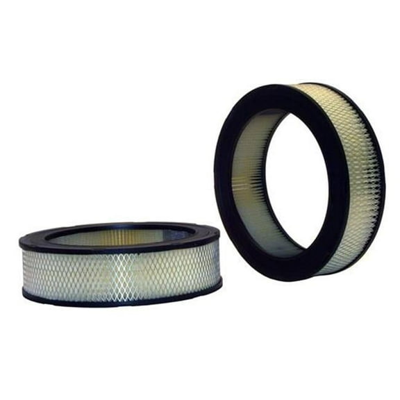 42020 Air Filter