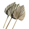thumbnail image 4 of Wosthever 3 unids/set hoja de palma Natural para decoración del hogar-lanzas de palma secas naturales multifuncionales y duraderas 20 cm * 25 cm Type1 NO1, 4 of 6