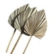 thumbnail image 4 of Ounissouiy 3 unids/set hoja de palma Natural para decoración del hogar-lanzas de palma secas naturales multifuncionales y duraderas 20 cm * 25 cm Type1 NO1, 4 of 6