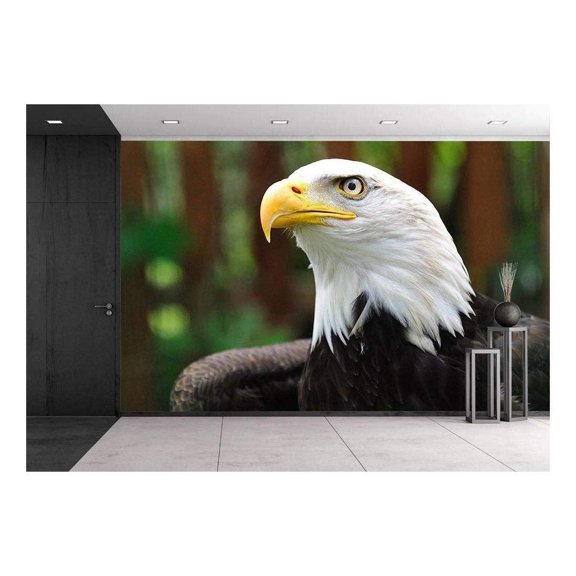 wall26 - Bald Eagle | Bird in Wildlife - Removable Wall Mural | Self-Adhesive Large Wallpaper - 100x144 inches