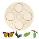 thumbnail image 2 of Ayudas Didácticas de Madera perfke Tablero de Ciclo de Vida, 2 of 5