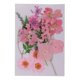 thumbnail image 4 of Bolsa de Flores secas naturales Macarena Rosado, 4 of 8