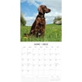 thumbnail image 3 of Red Robin 2025 Irish Setters Wall Calendar, Premium Paper, Hangable 12 Month Calendar, 3 of 3